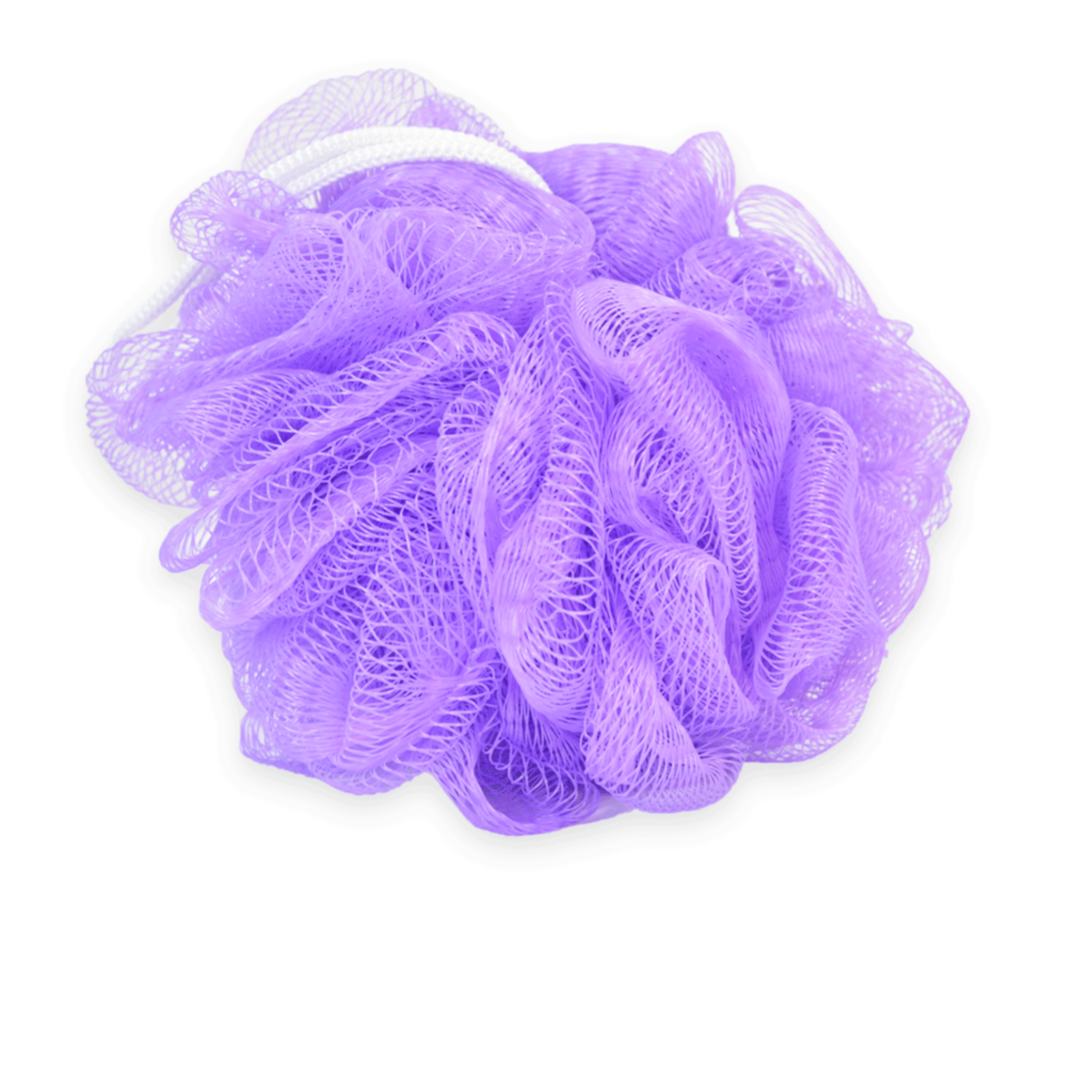 Purple Loofah