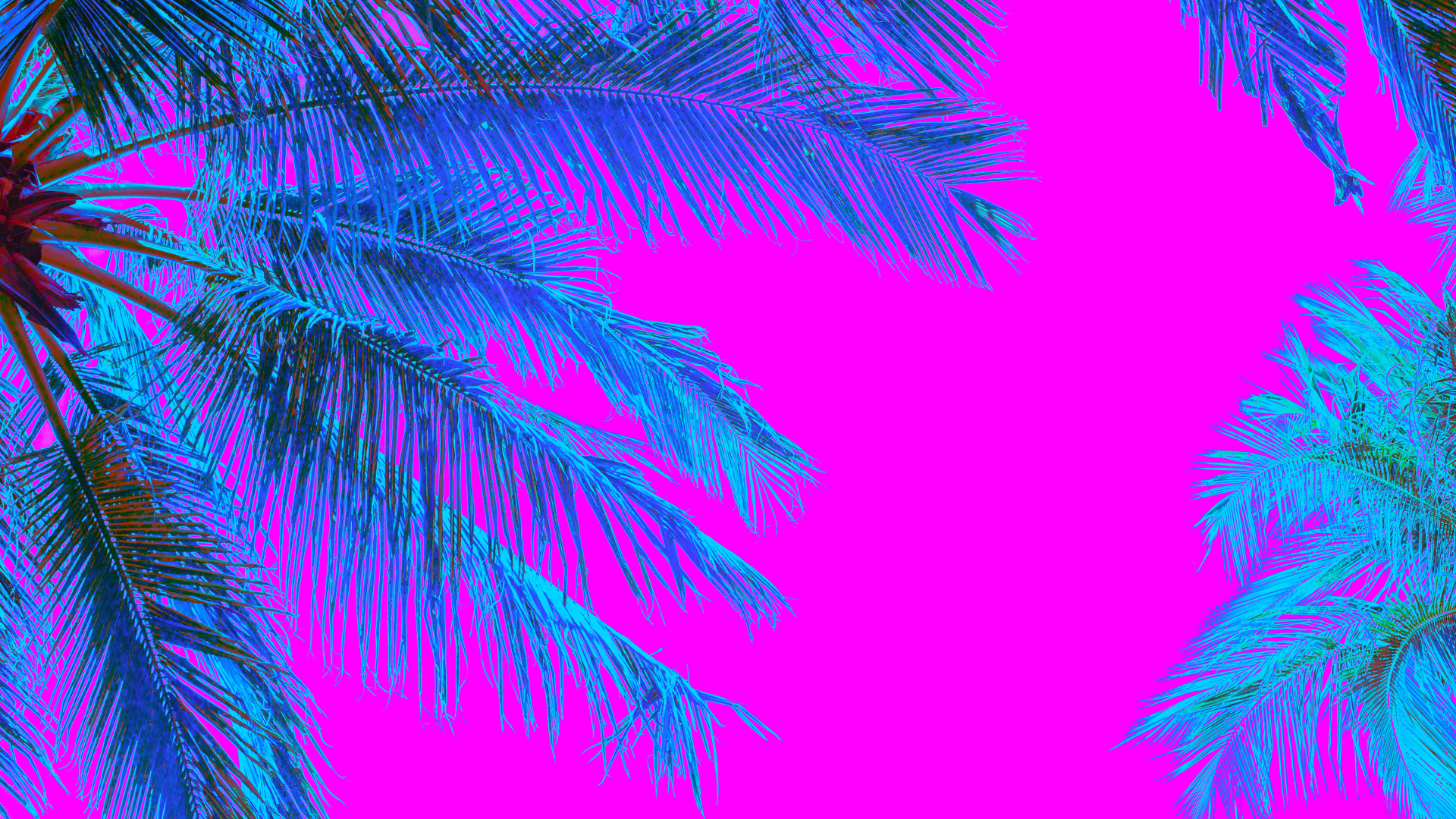 Brazilian Beach
